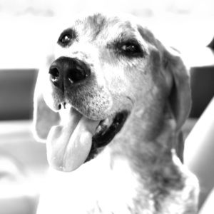 Meet your Posher, Janelle